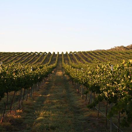 Mayfield Vineyard Orange Eksteriør bilde