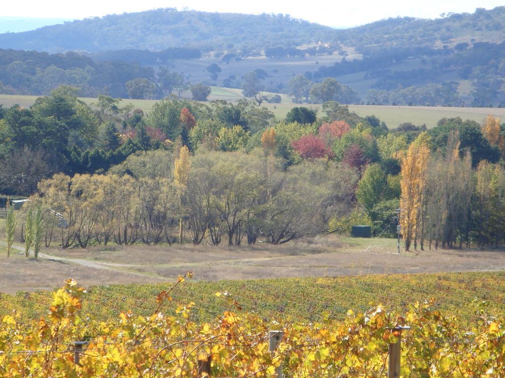 Mayfield Vineyard Orange Eksteriør bilde