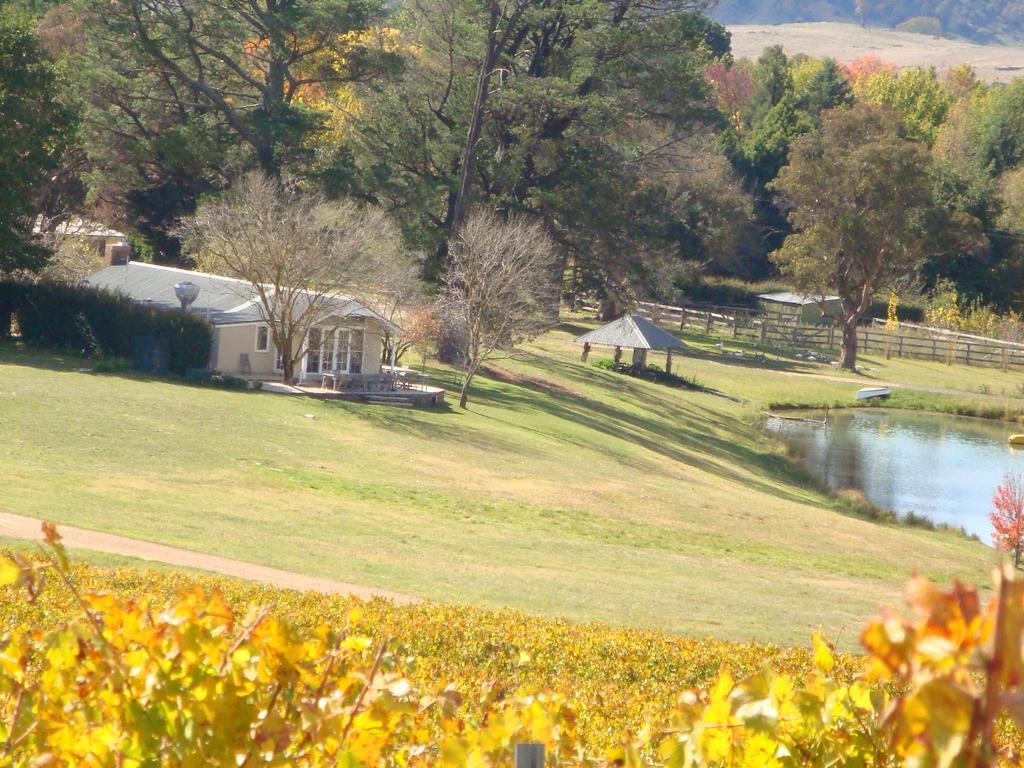 Mayfield Vineyard Orange Eksteriør bilde