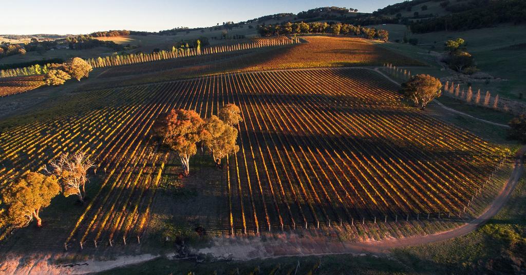 Mayfield Vineyard Orange Eksteriør bilde