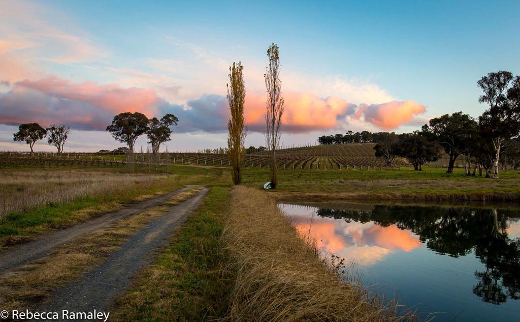 Mayfield Vineyard Orange Eksteriør bilde